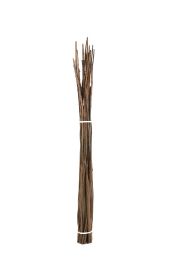 Brown Willow Sticks